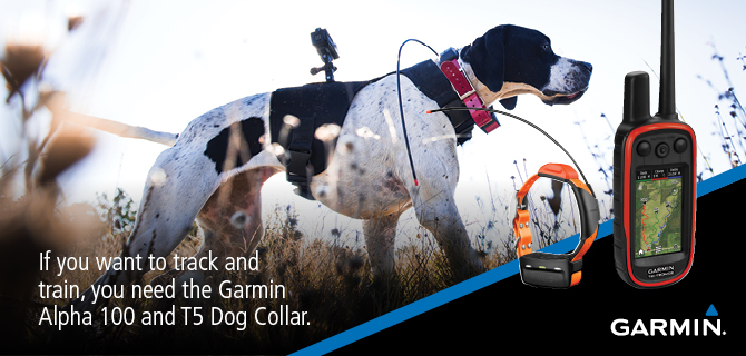 Garmin Alpha 100 / T5 Dog Collar Bundle